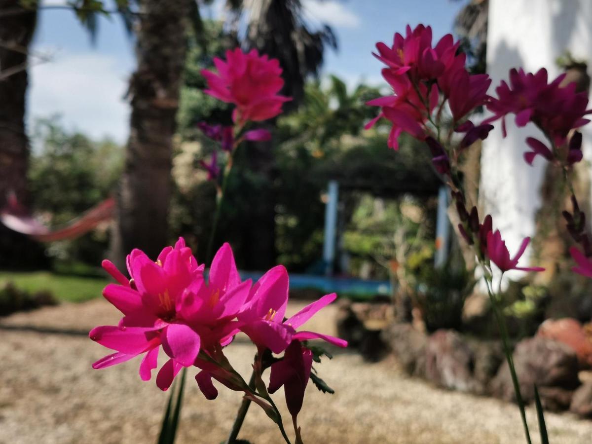 Quinta Do Paraiso São Teotónio Exterior foto